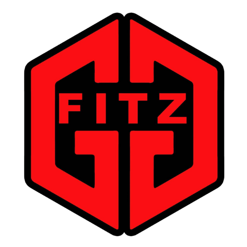 ggfitz logo